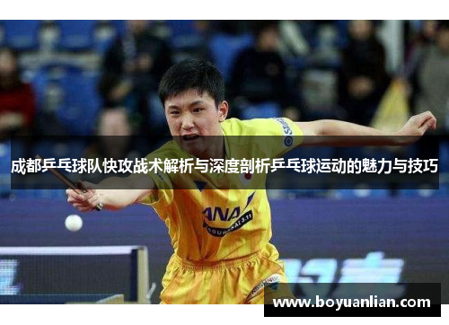 成都乒乓球队快攻战术解析与深度剖析乒乓球运动的魅力与技巧