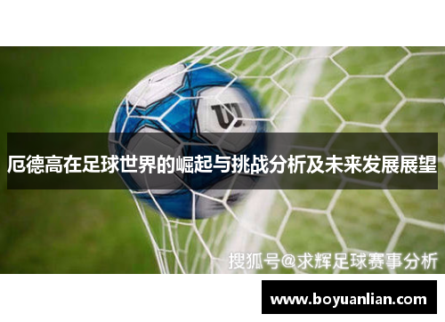 厄德高在足球世界的崛起与挑战分析及未来发展展望